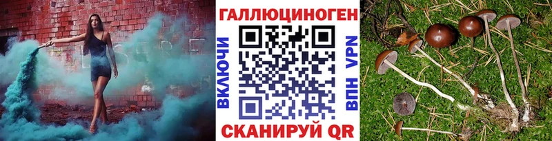 Купить где  Фокино  Галлюциногенные грибы Magic Shrooms 