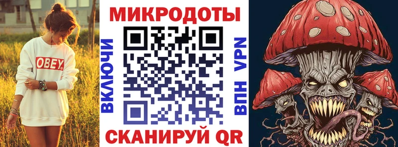 Псилоцибиновые грибы Psilocybe Фокино